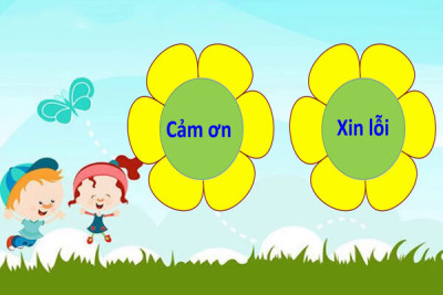 Cảm ơn và xin lỗi